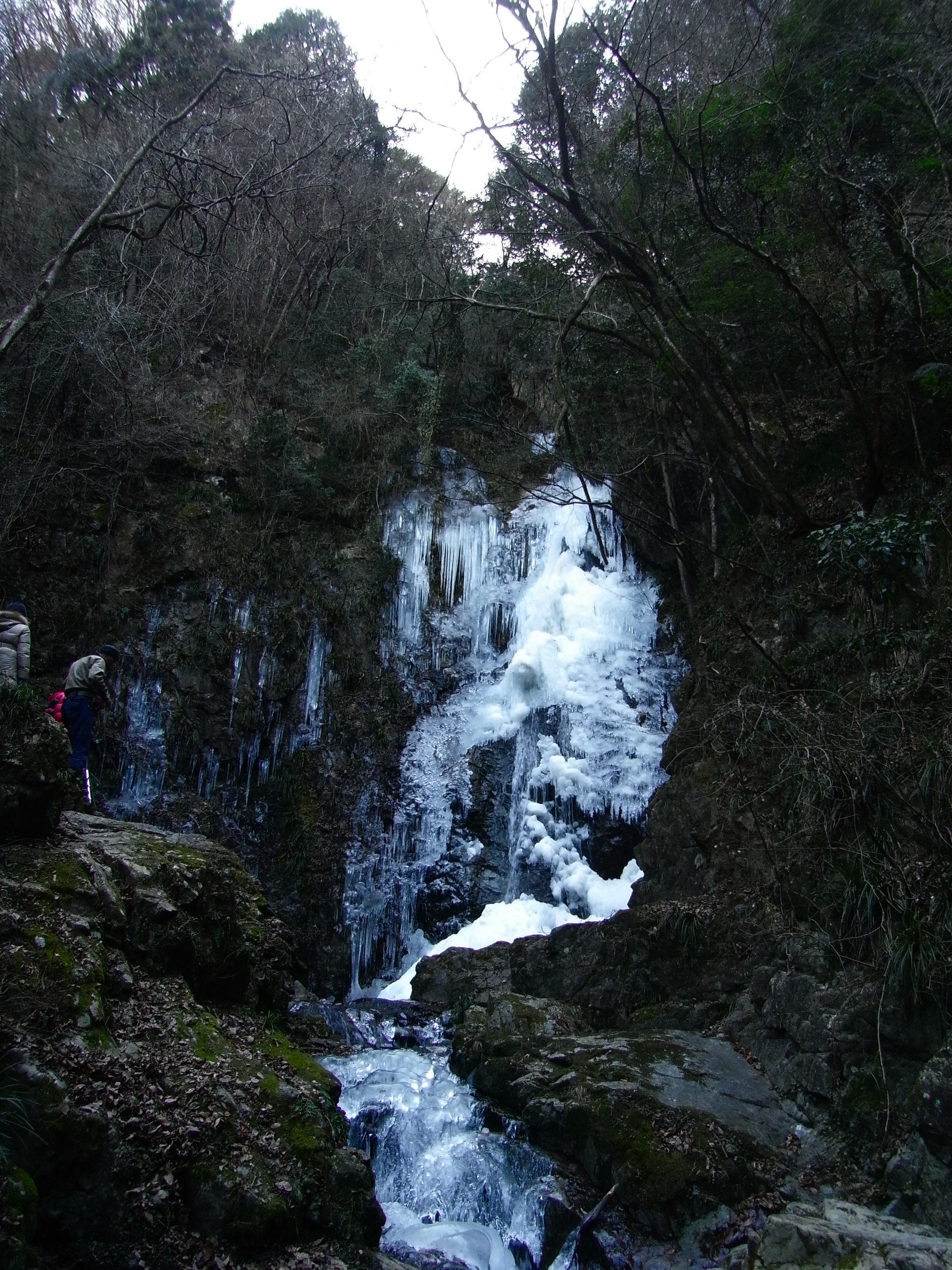 厳冬期に結氷した払沢の滝の氷瀑