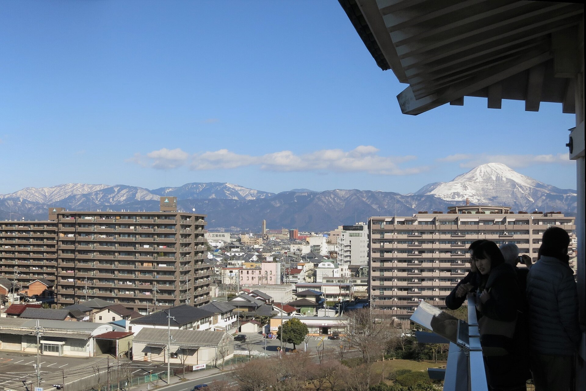 遠くに望む伊吹山の山容