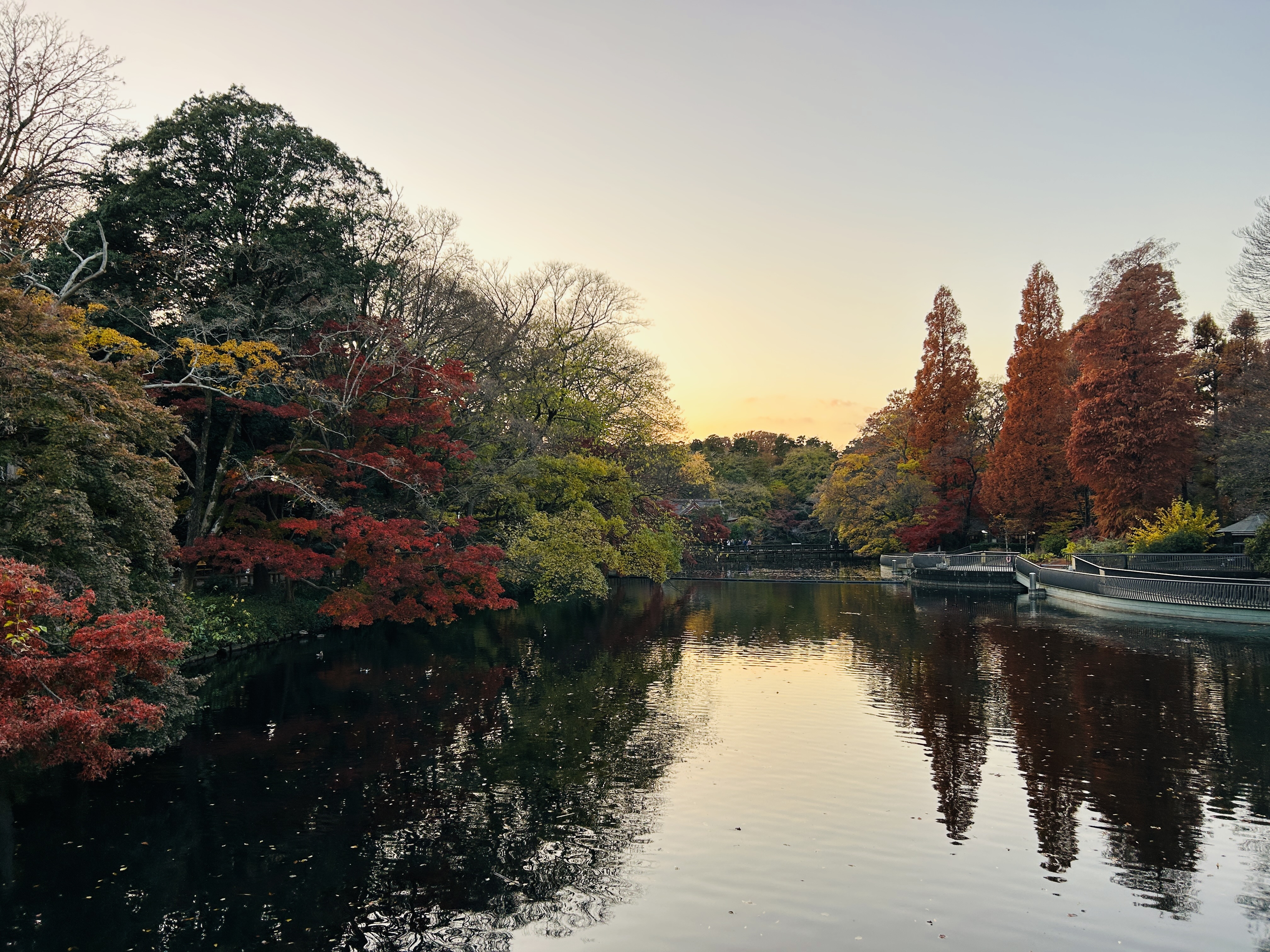 井の頭恩賜公園