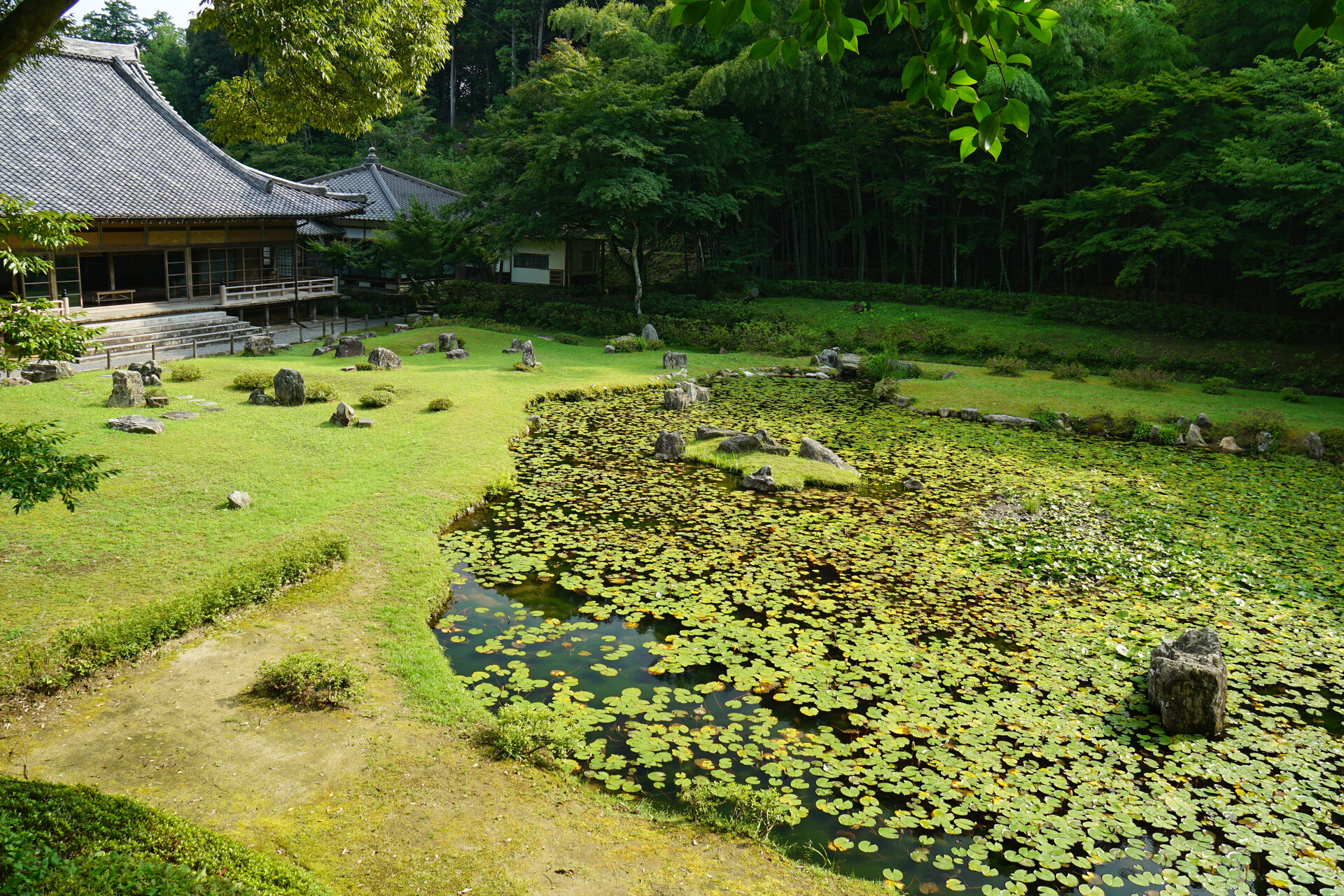 常栄寺雪舟庭、雪舟作庭の池泉廻遊式庭園と本堂