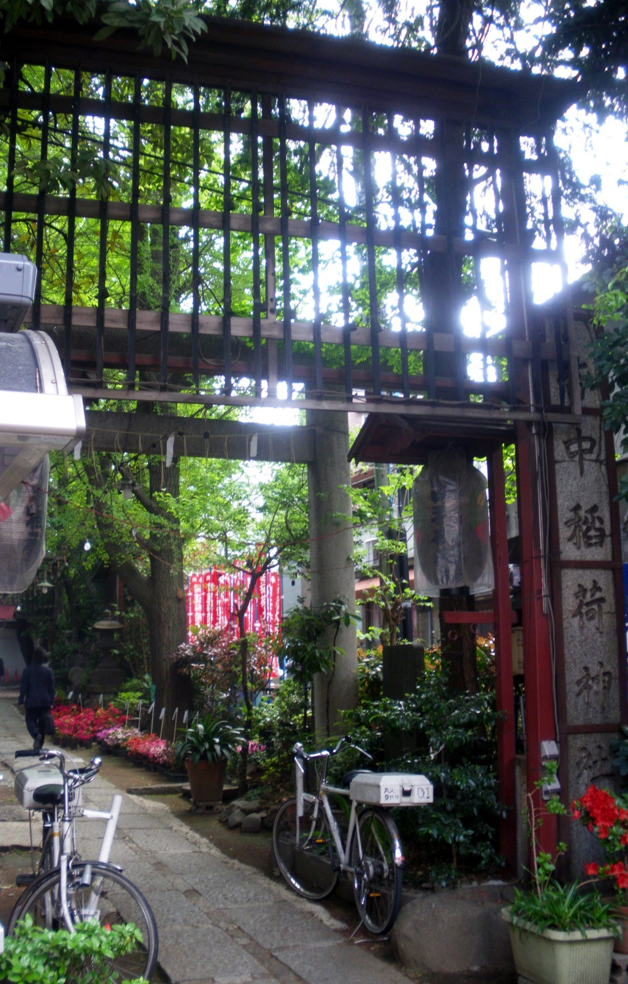 皆中稲荷神社の境内、緑に包まれた参道の様子