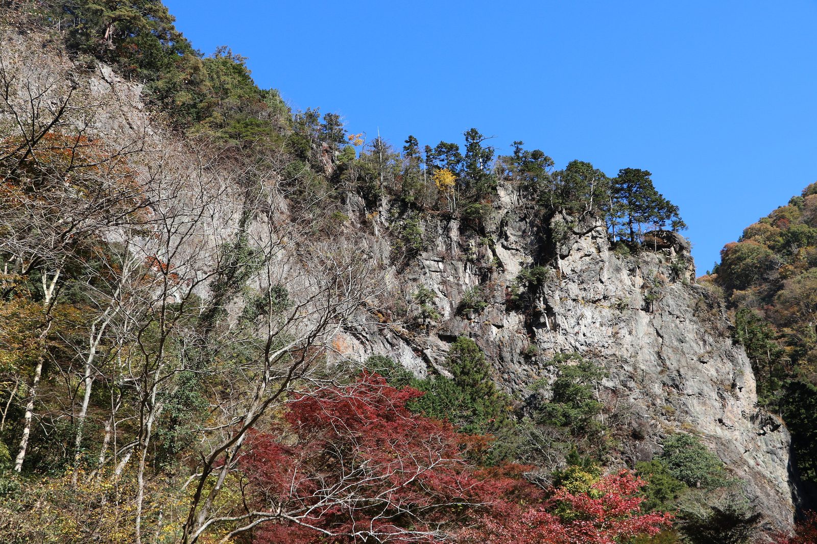 紅葉に染まる神戸岩の断崖