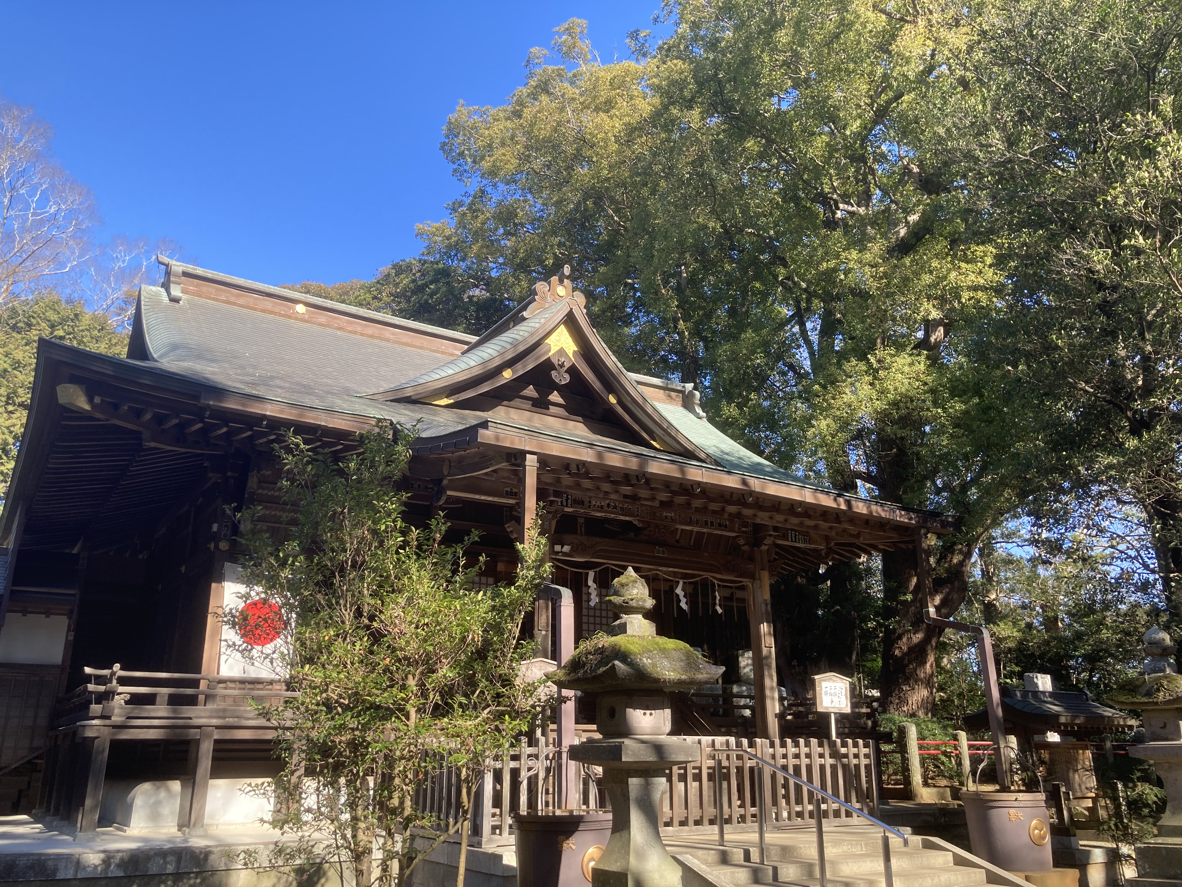 神崎神社の社殿となんじゃもんじゃの木