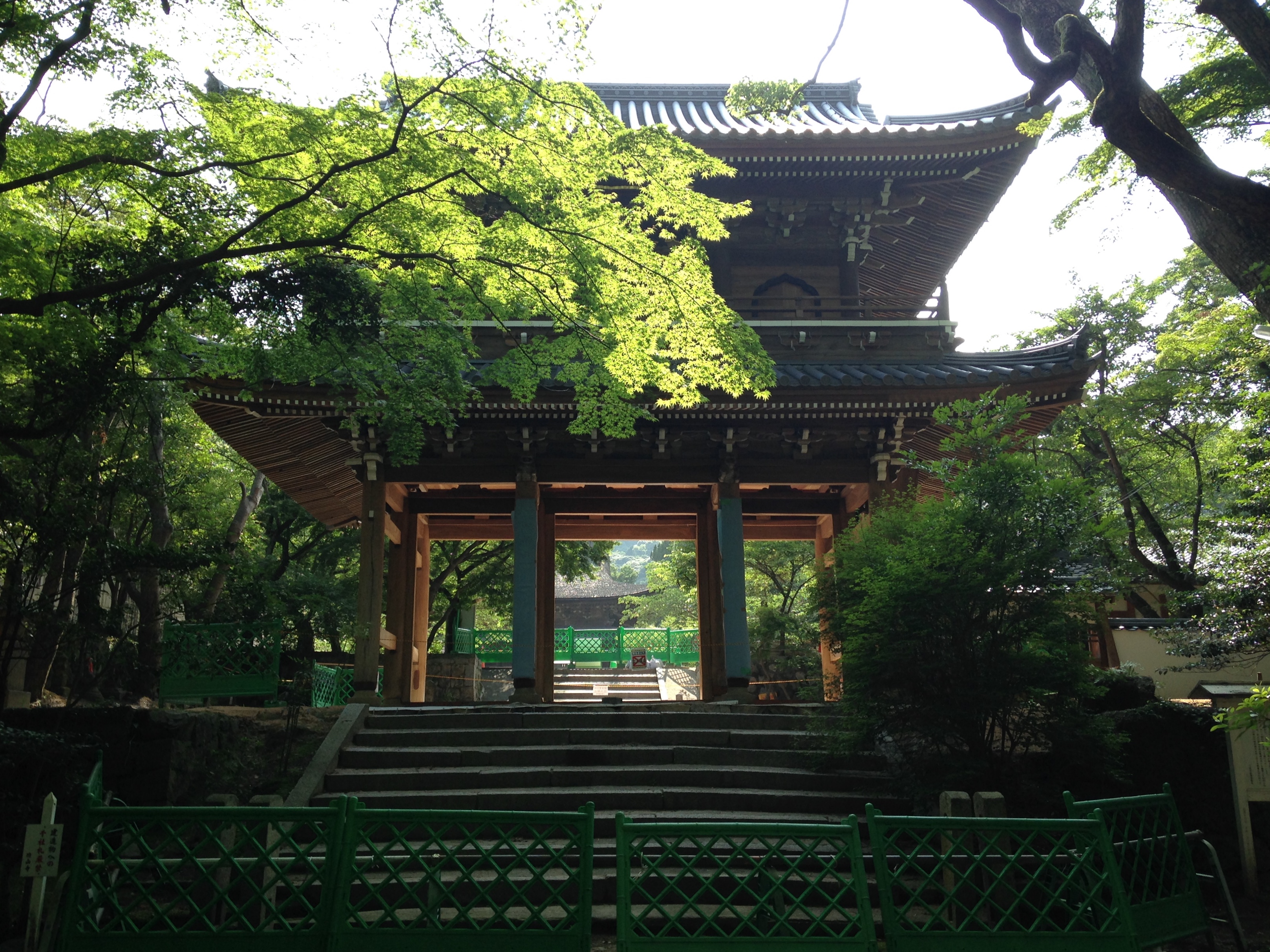 功山寺の山門と新緑の参道