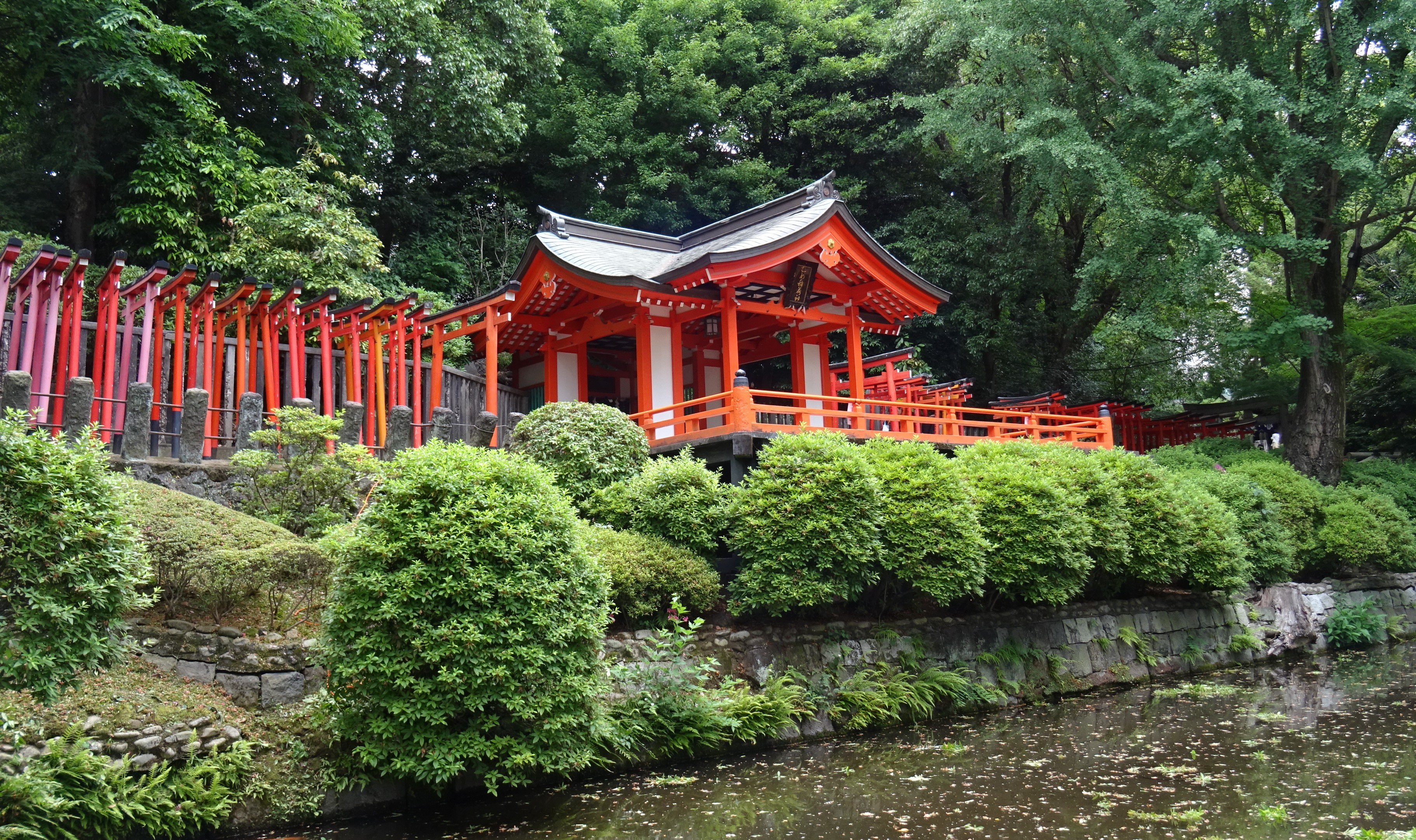 乙女稲荷神社の千本鳥居と社殿