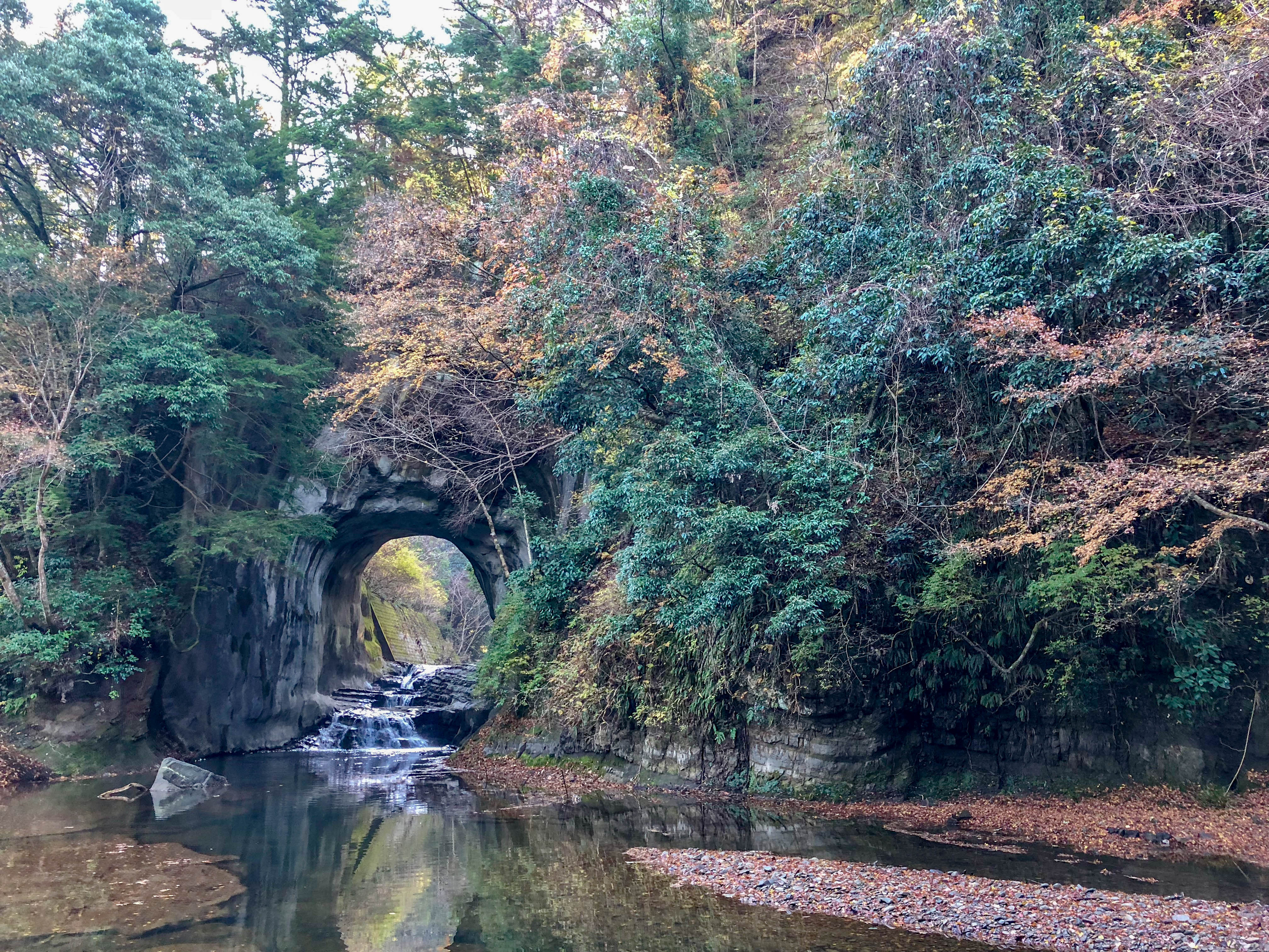 紅葉に彩られた亀岩の洞窟の入口