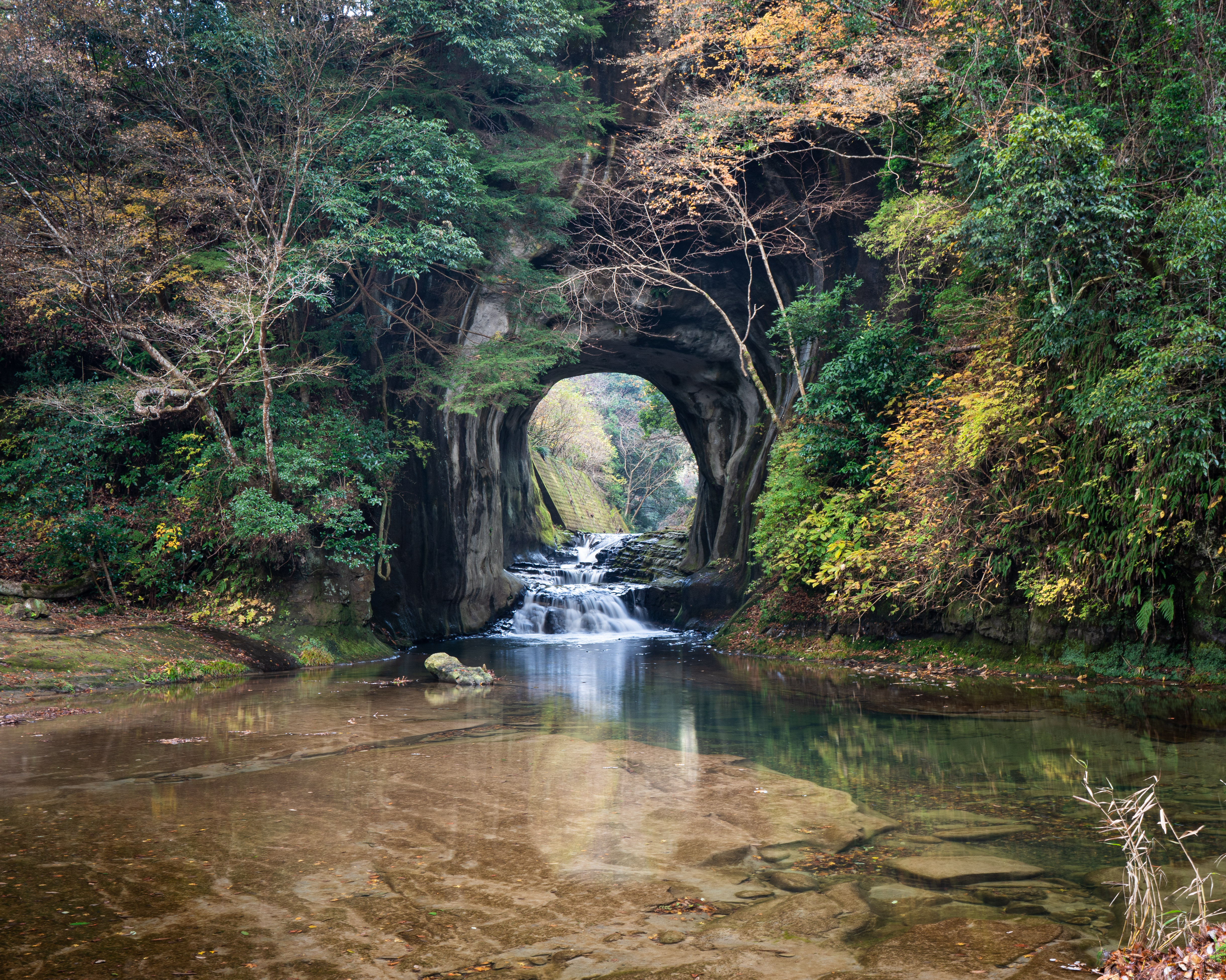 亀岩の洞窟を流れる小川と周囲の木々