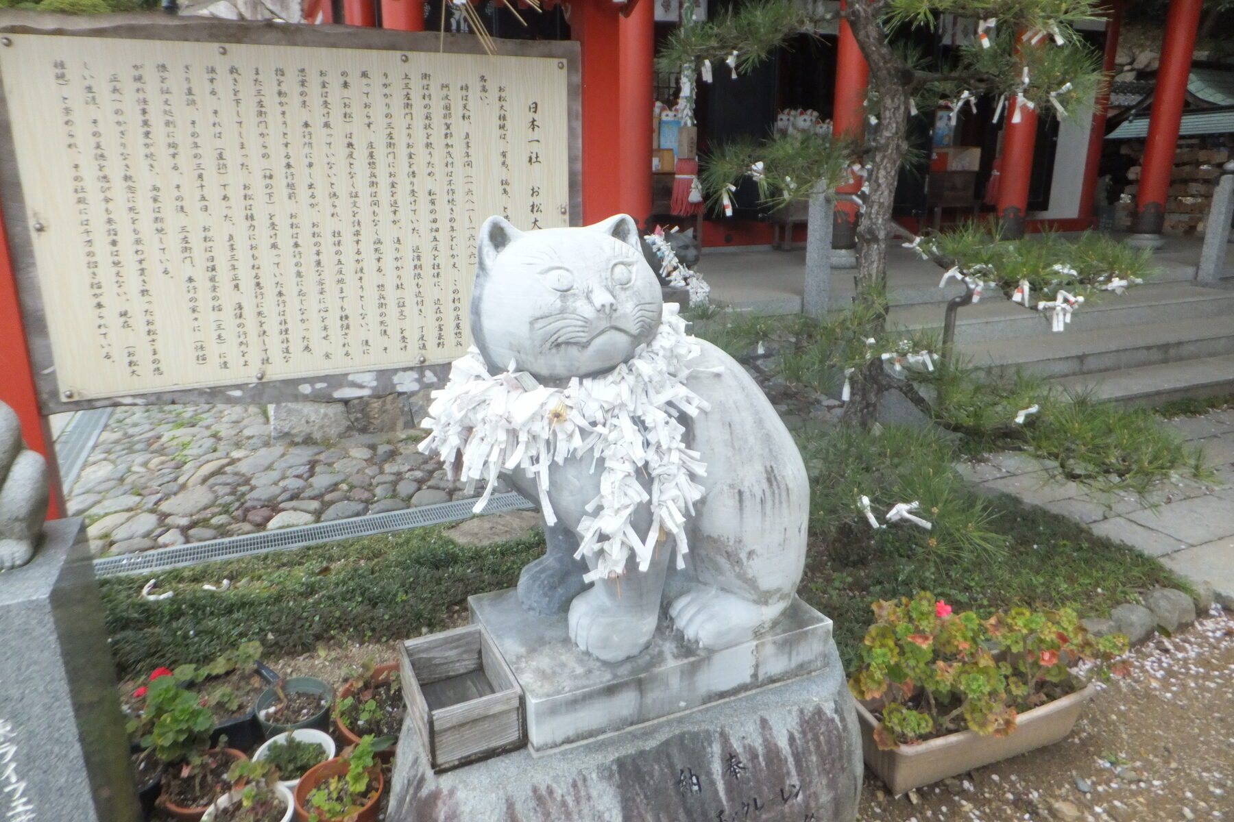 お松大権現、白いさすり猫の石像