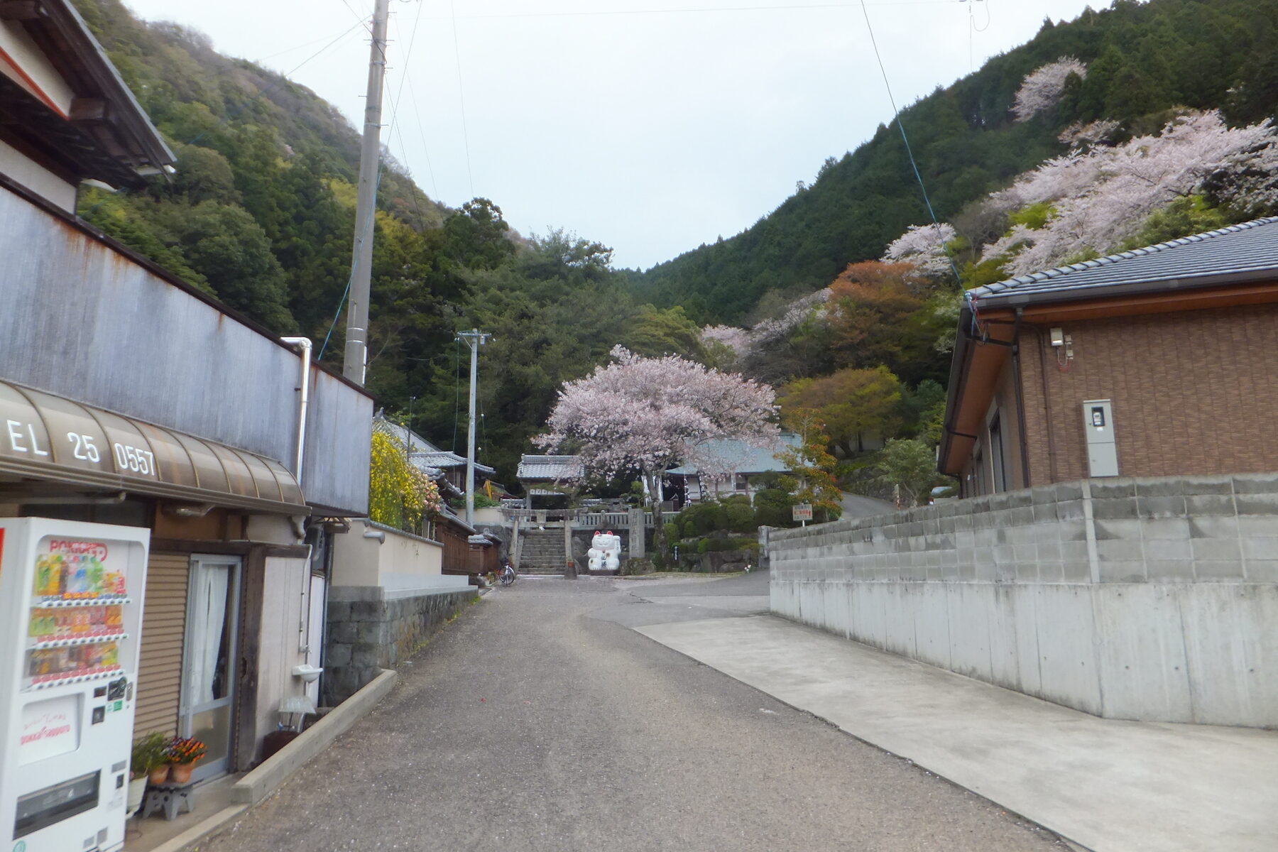 お松大権現の参道入口に立つ大きな招き猫像