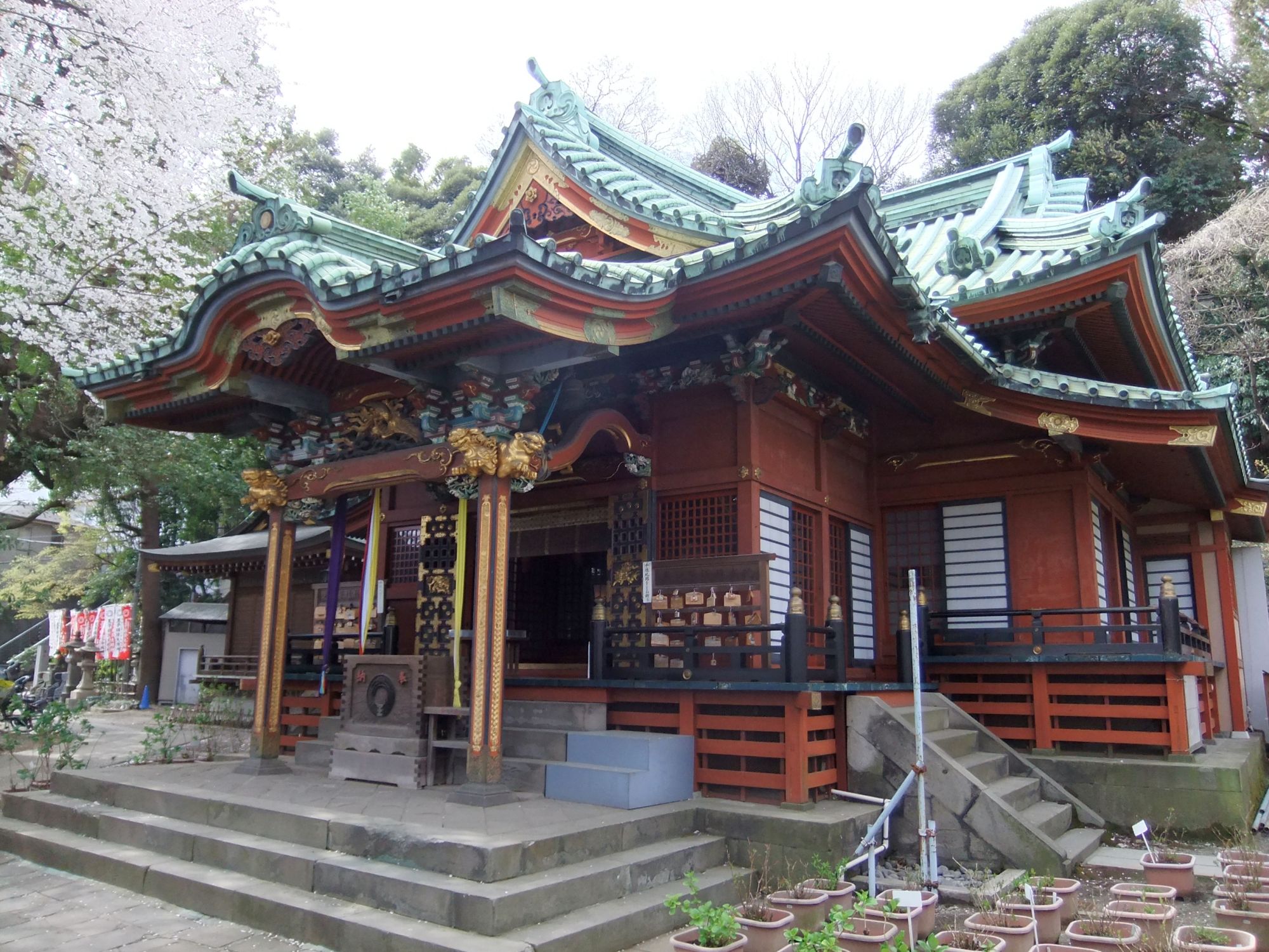 桜咲く境内から見上げる王子稲荷神社の朱塗りの社殿