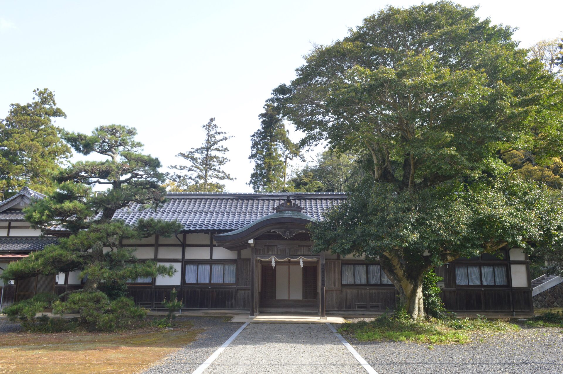 隠岐神社の社殿、隠岐造りの屋根