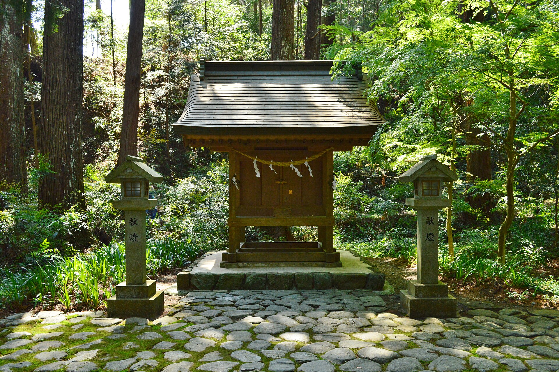 小國神社の社殿