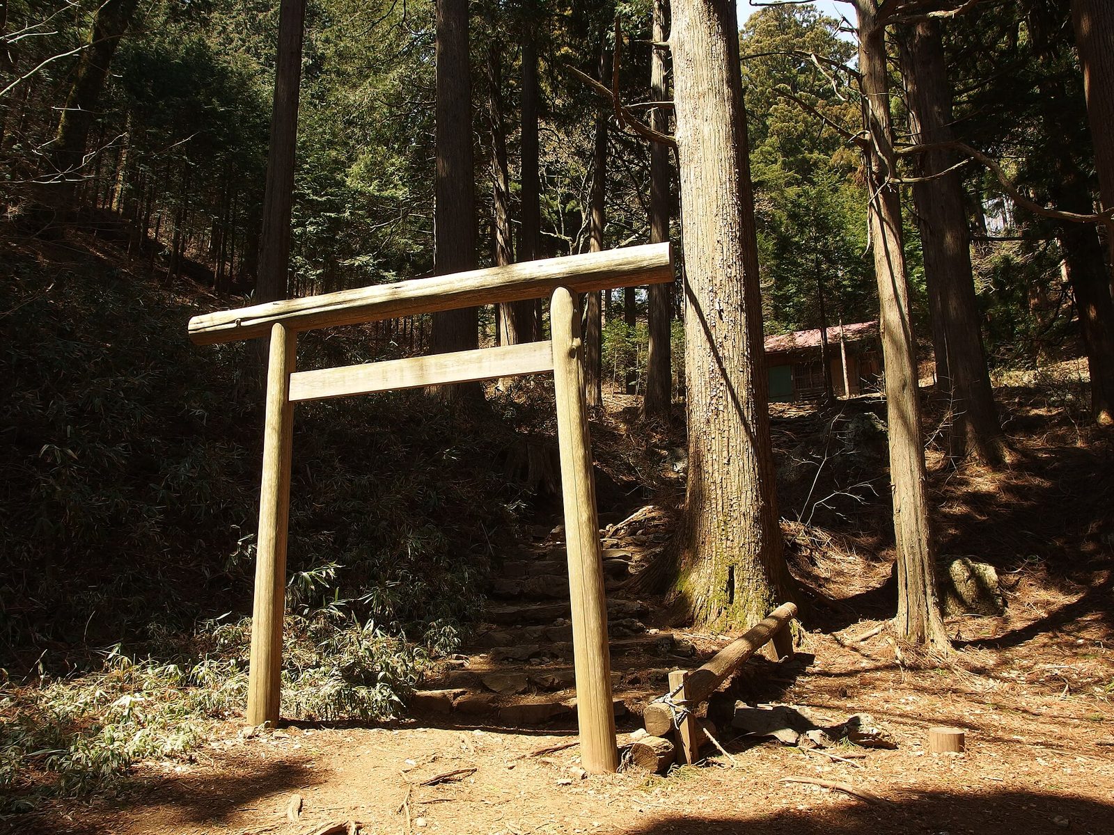 大嶽神社本宮へ続く杉木立の中の鳥居