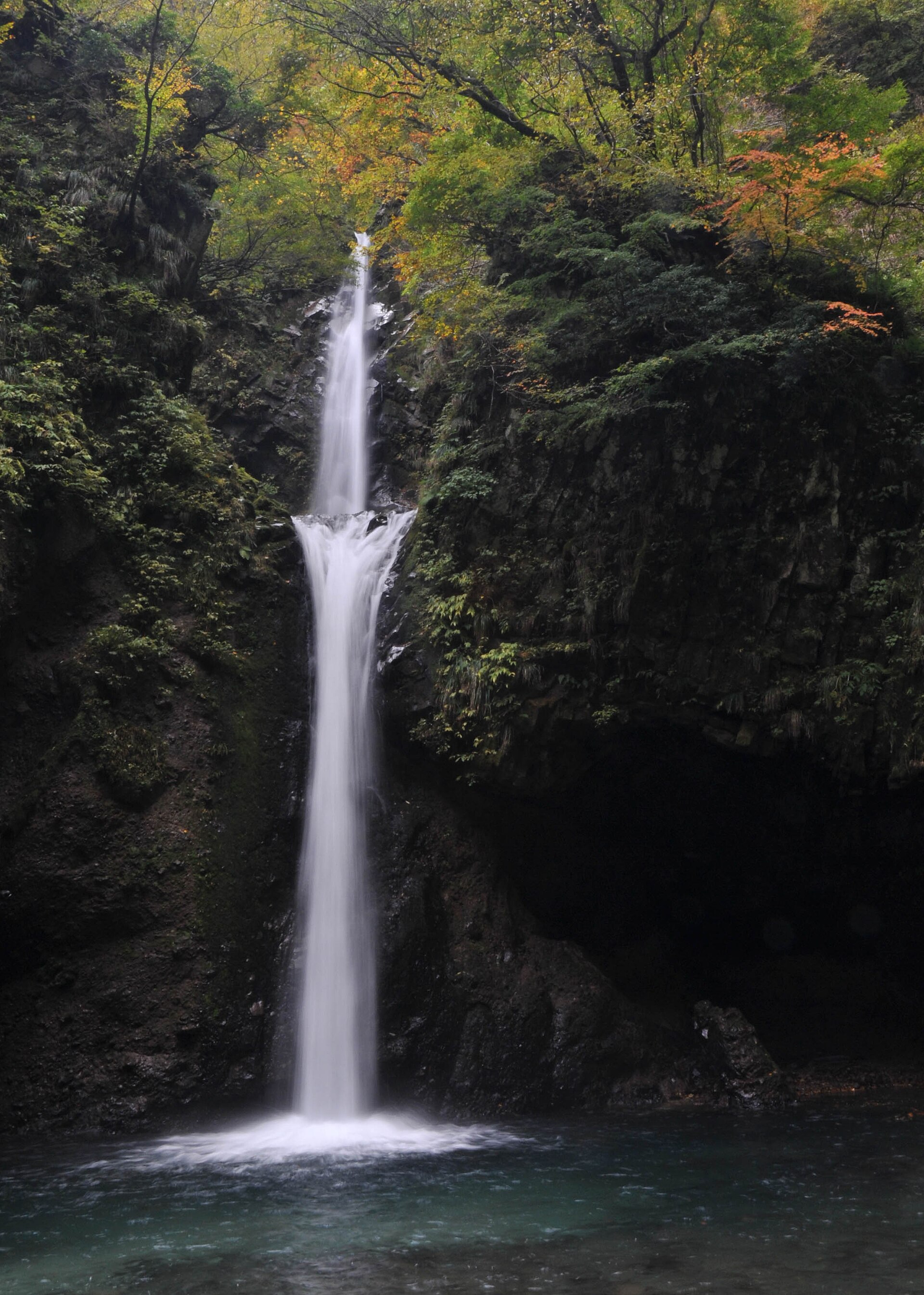 岩窟を背に一直線に落ちる大山滝の水流