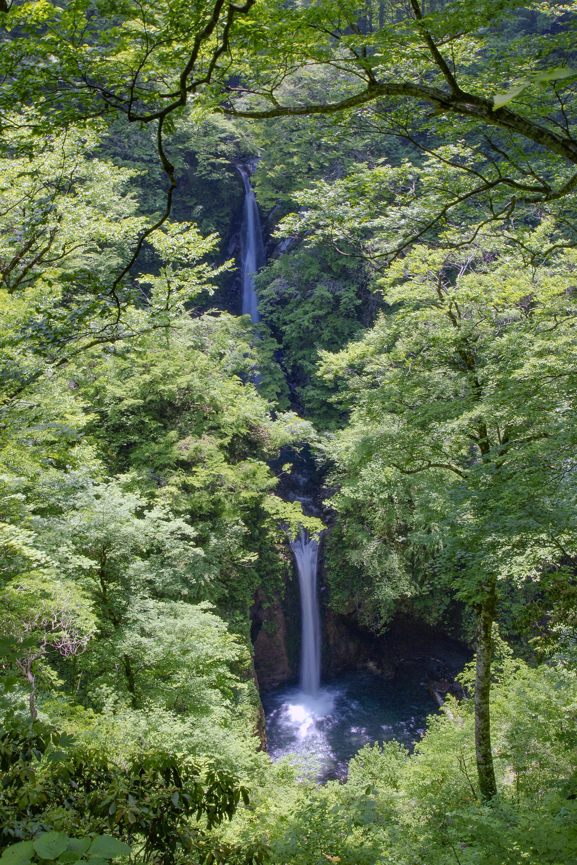 新緑の森の奥に見える大山滝の上段と下段