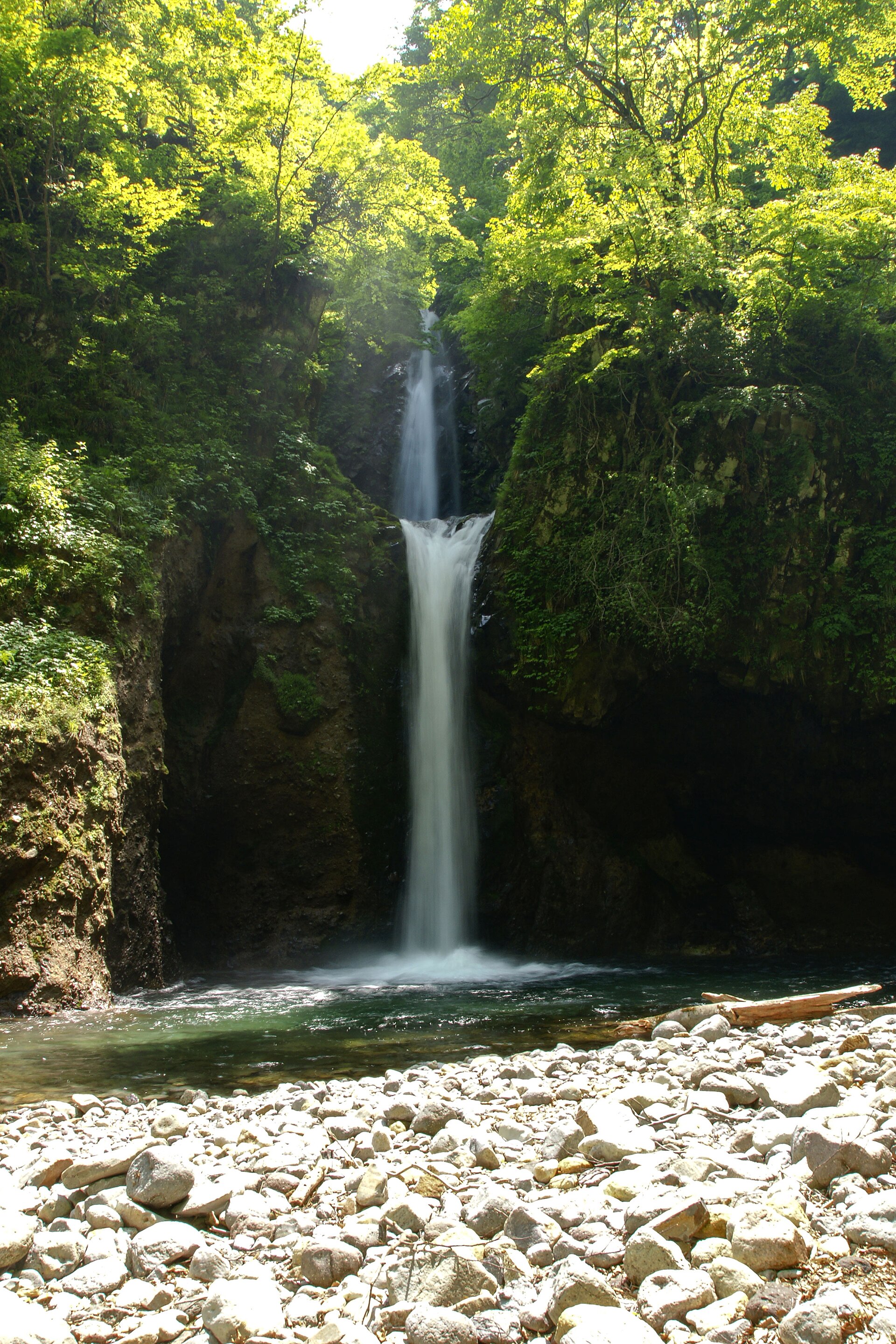 初夏の緑に包まれた大山滝の正面