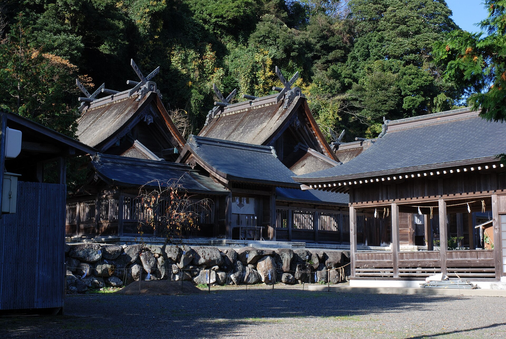 佐太神社の本殿を横から望む、三つの千木を戴く大社造の社殿