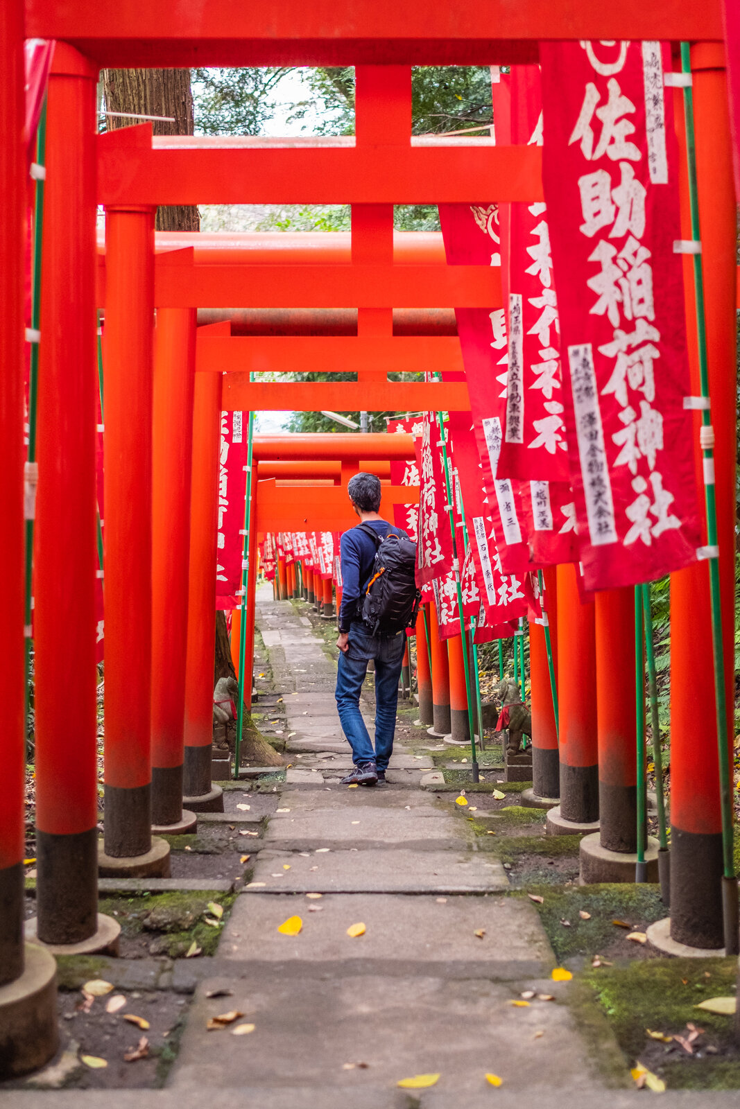 佐助稲荷神社、朱の鳥居が幾重にも連なるトンネル参道