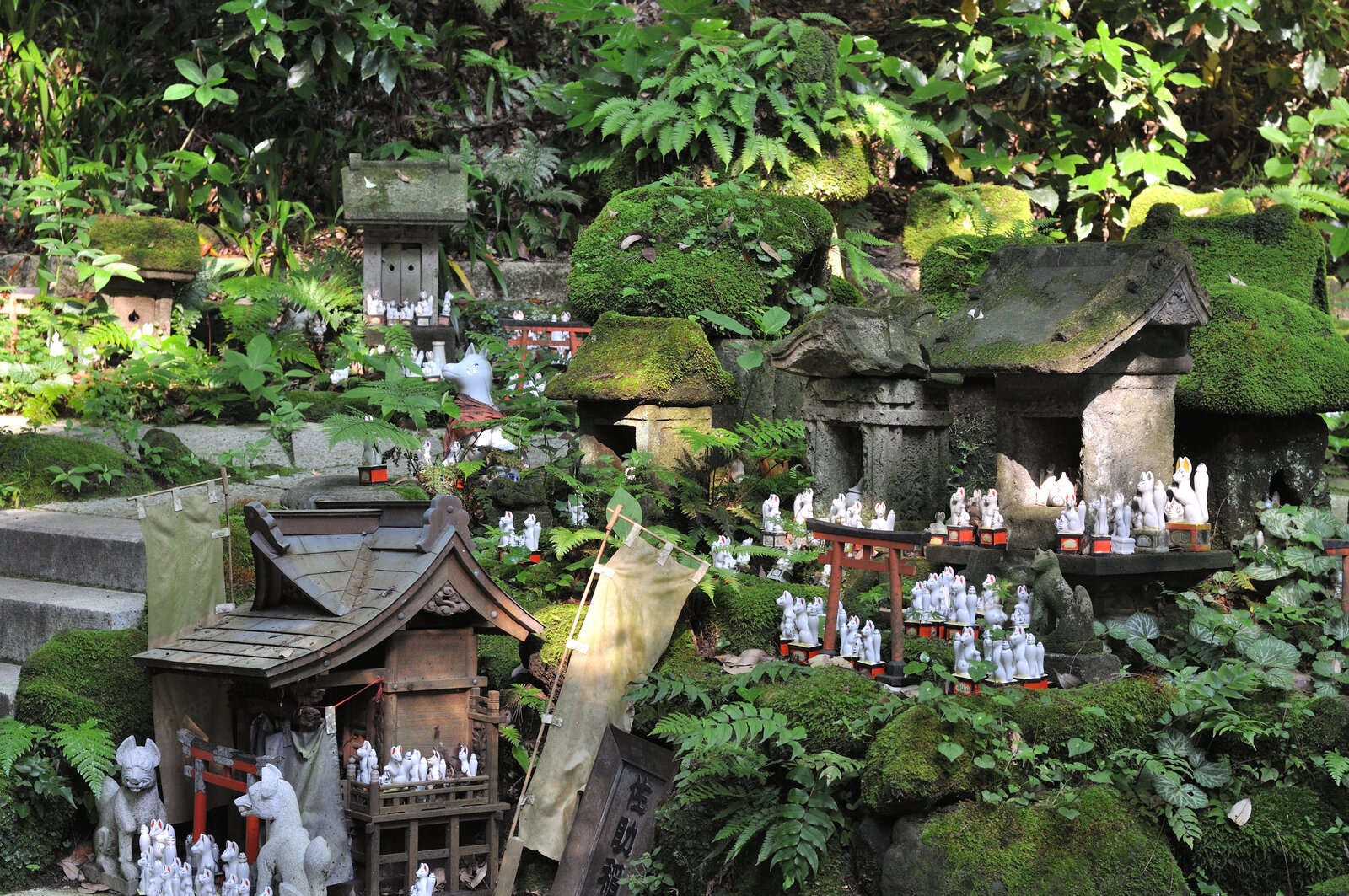 佐助稲荷神社、苔むした境内に並ぶ白狐の像や祠