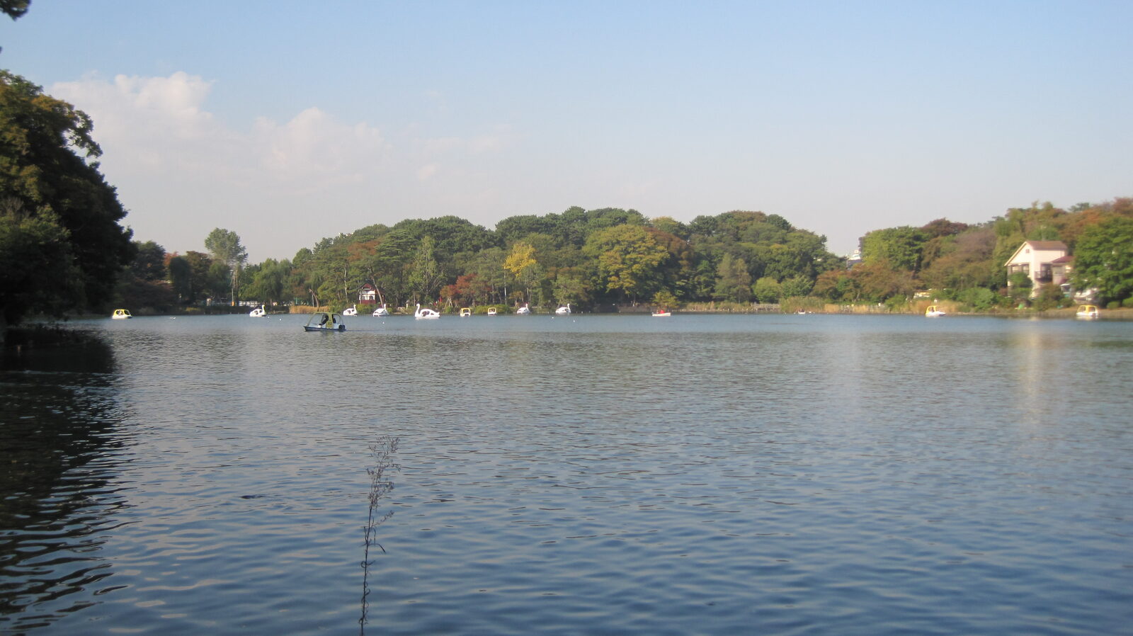 洗足池公園