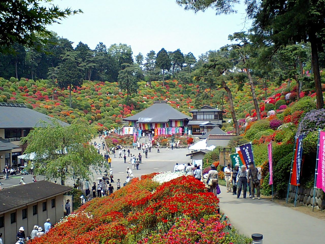 塩船観音寺つつじまつりの様子
