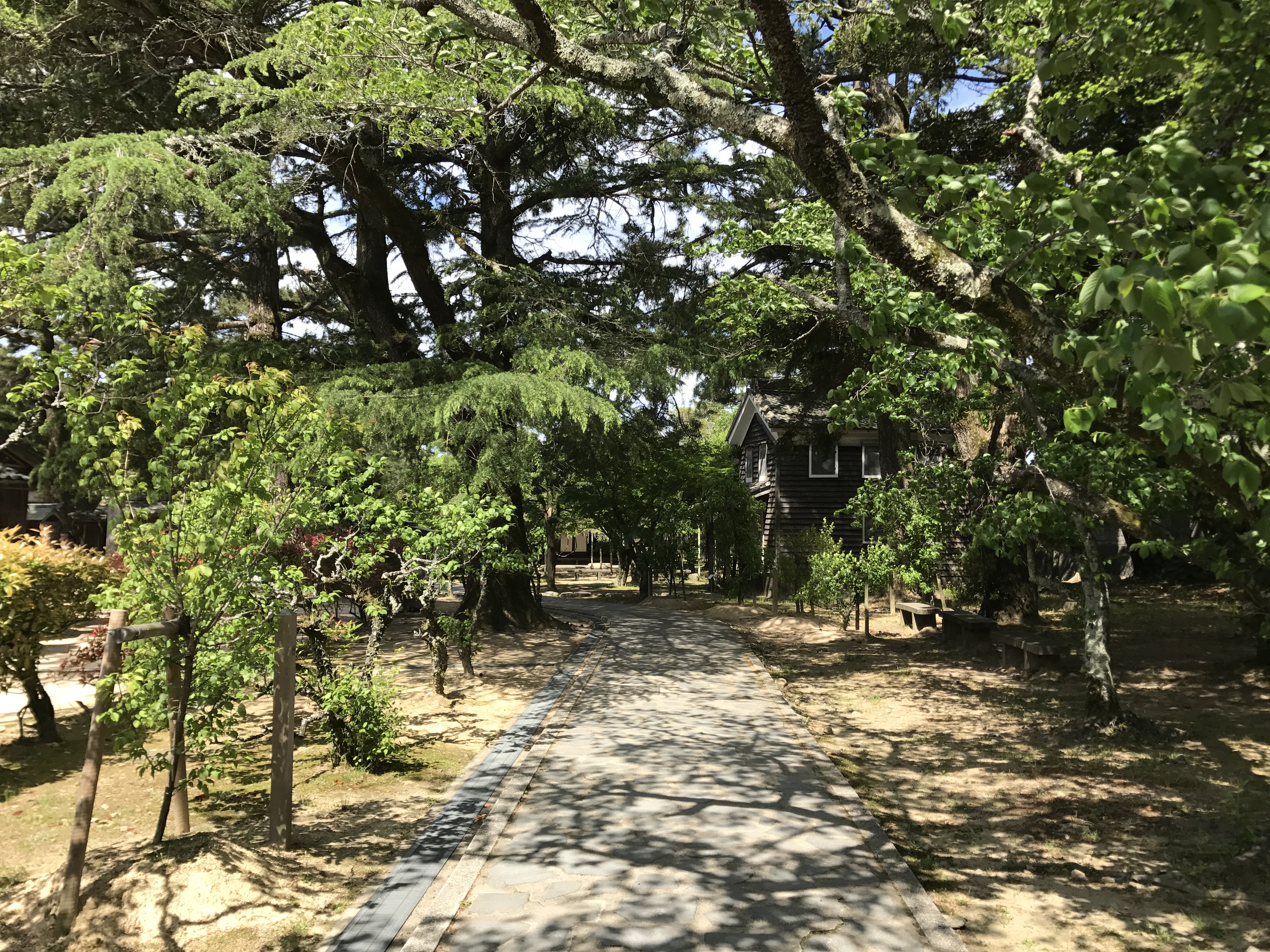 松陰神社の境内参道の様子