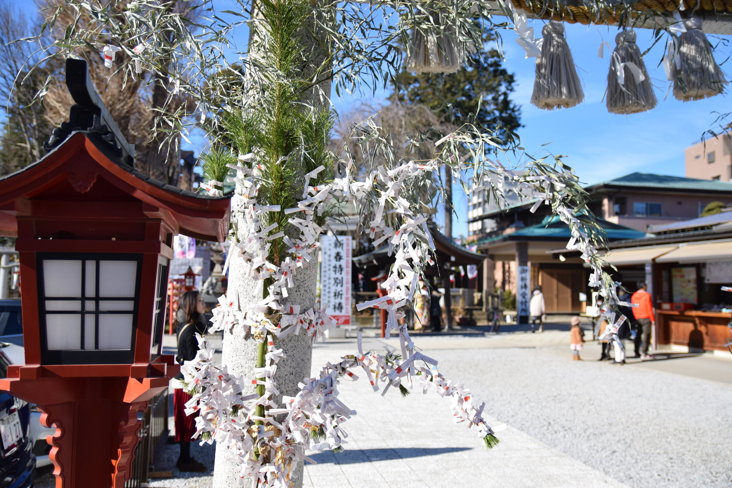 川越八幡宮のおみくじが結ばれた木
