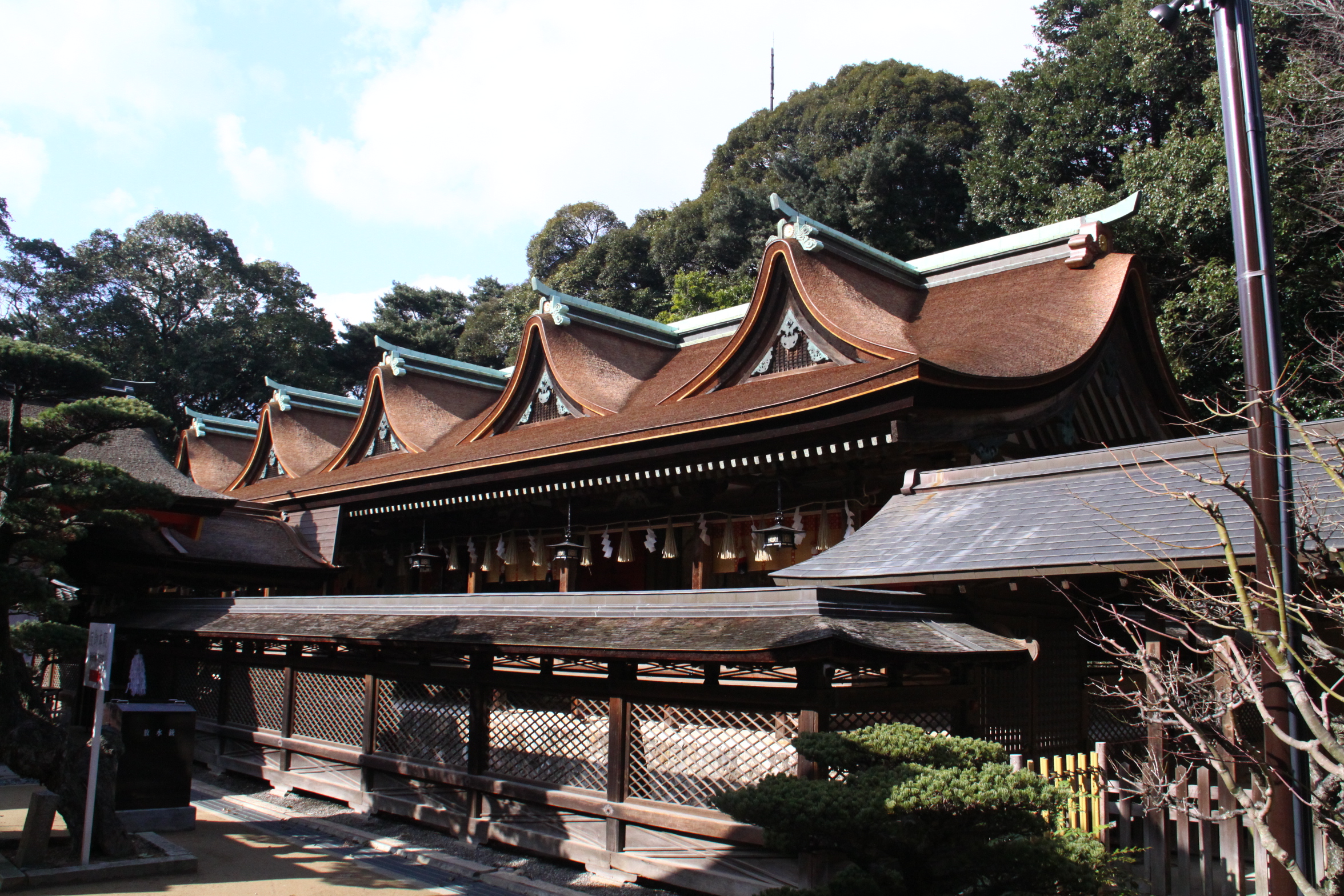 住吉神社の国宝本殿、九間社流造の社殿
