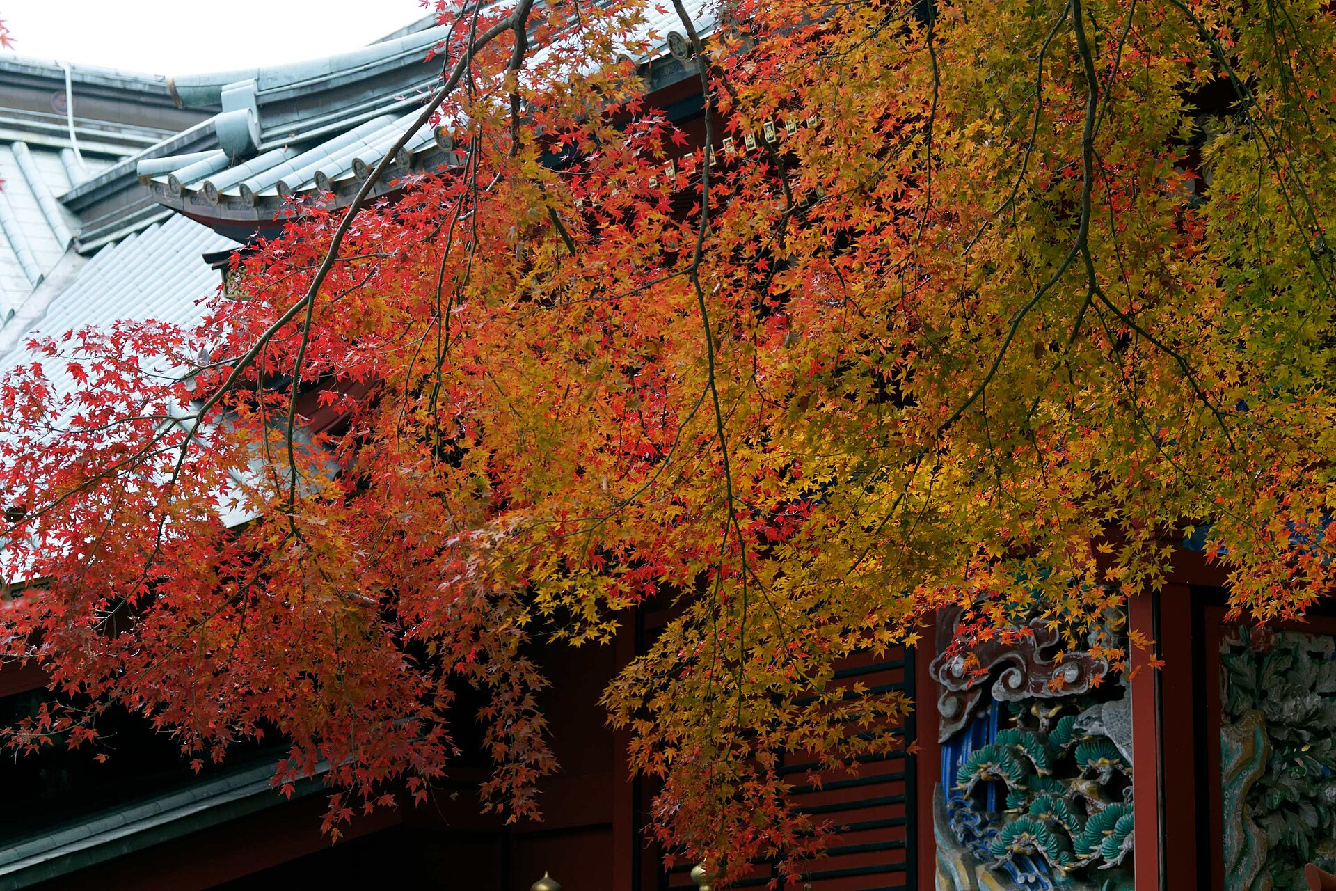 高尾山薬王院境内の紅葉