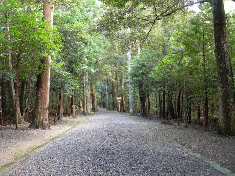 瀧原宮の杉木立が続く参道