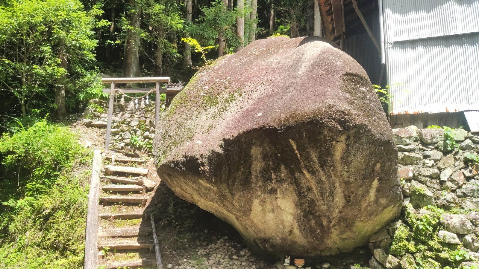 玉置神社の社殿と杉木立