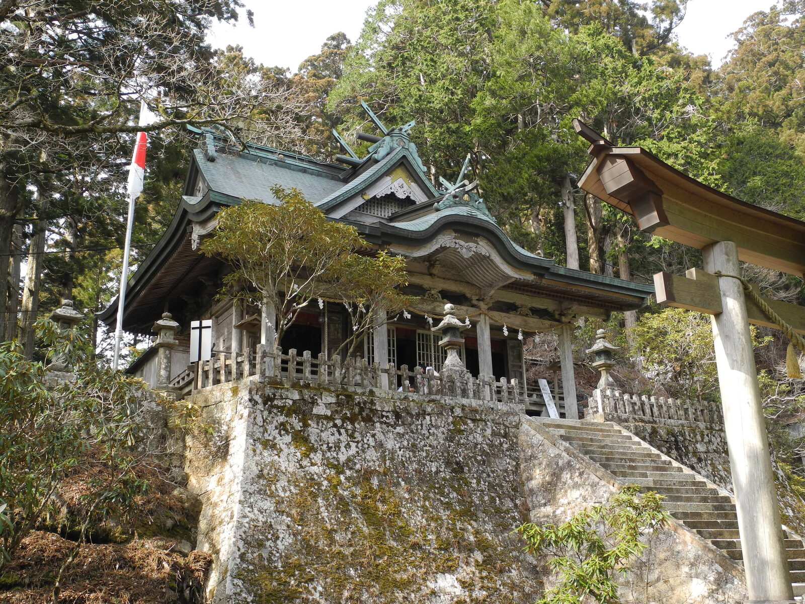 玉置神社の参道と巨杉