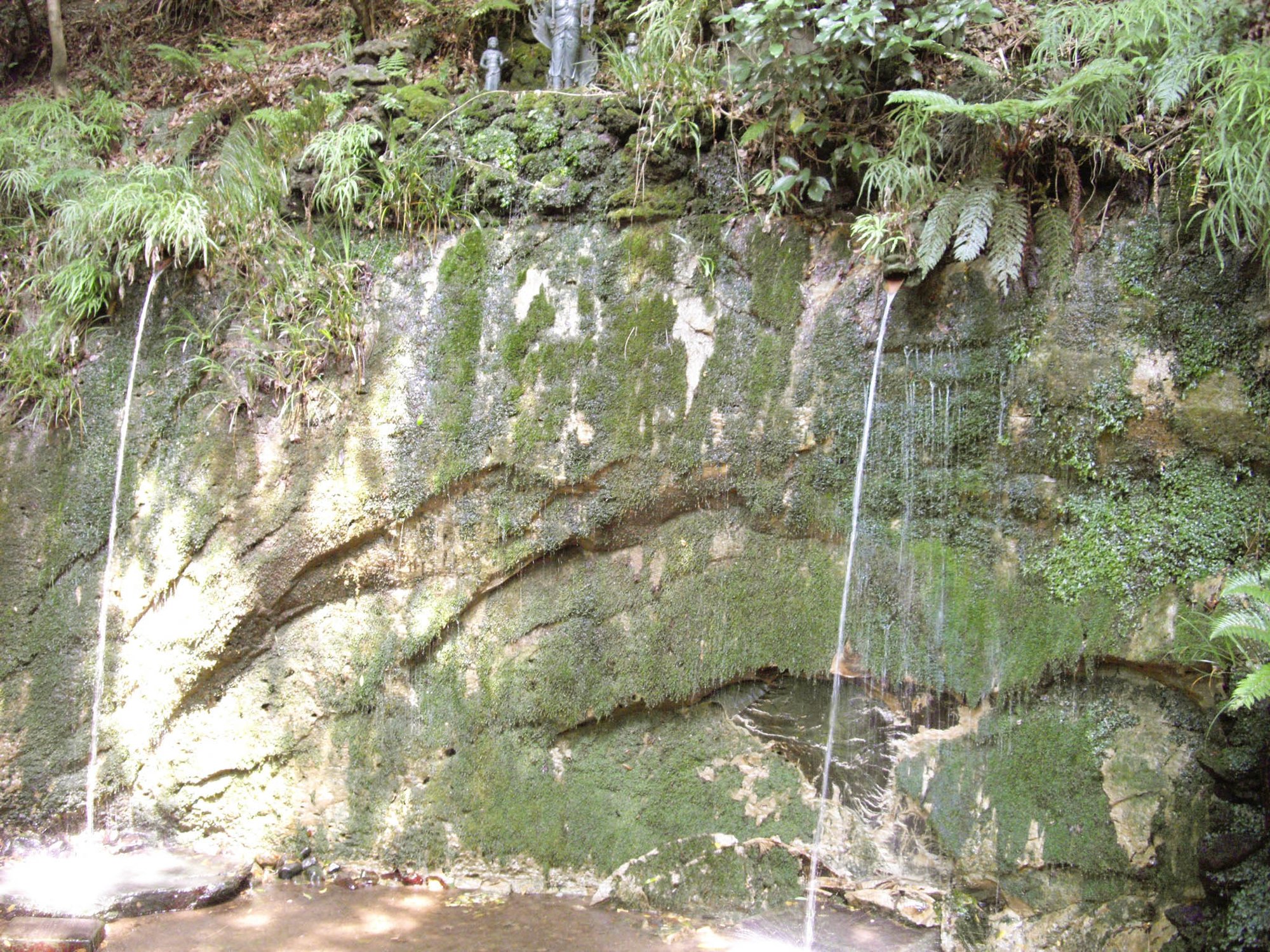 等々力渓谷、不動の滝の岩肌を流れ落ちる湧水