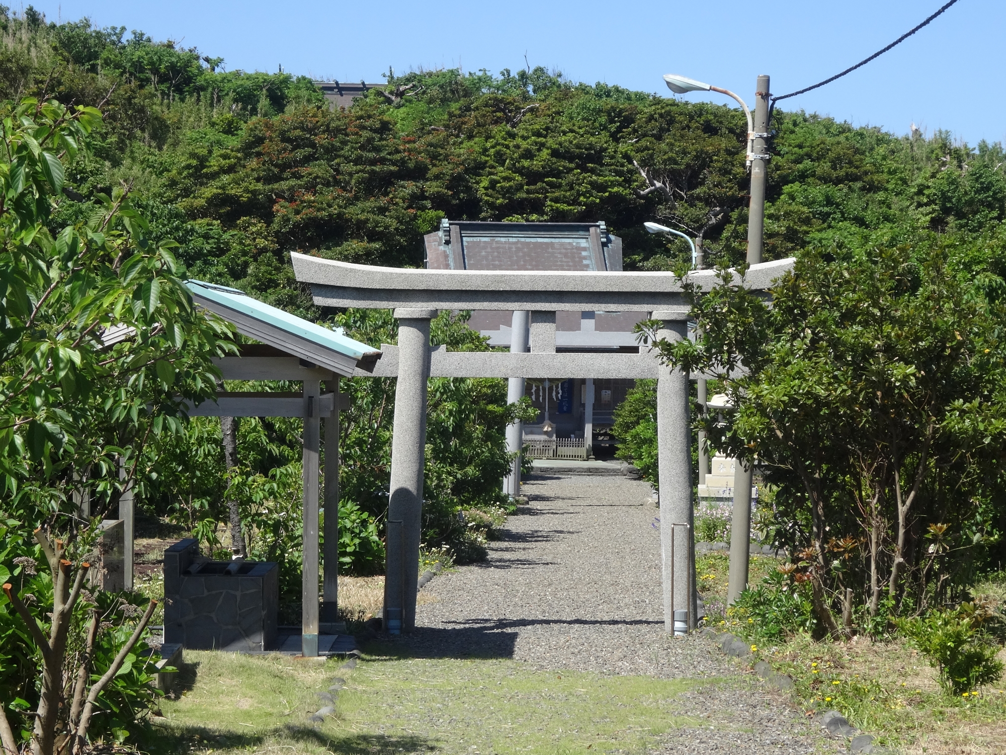富賀神社の鳥居から社殿へ続く参道