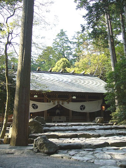 椿大神社の鳥居