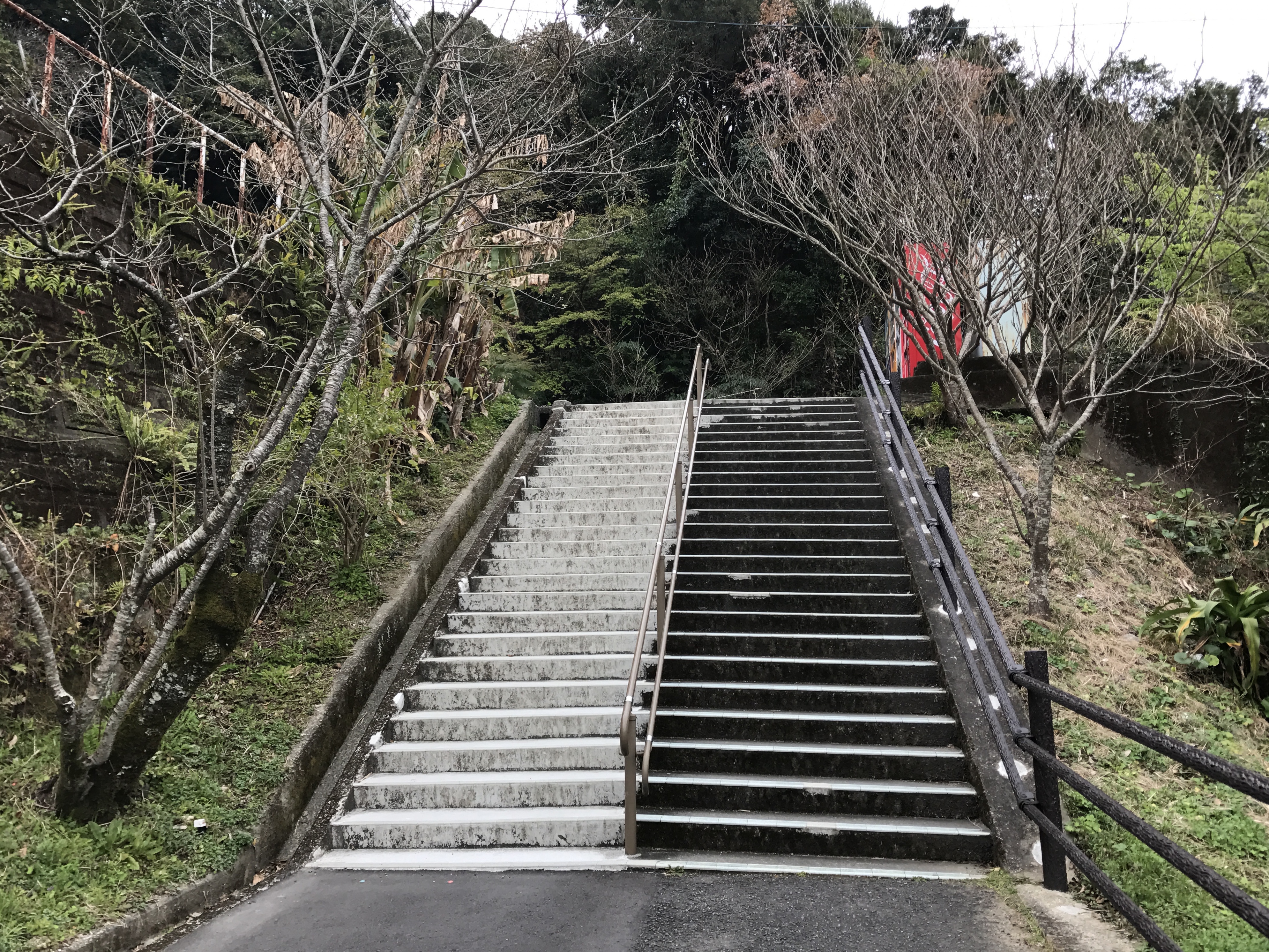 鵜戸神宮の参道の石段