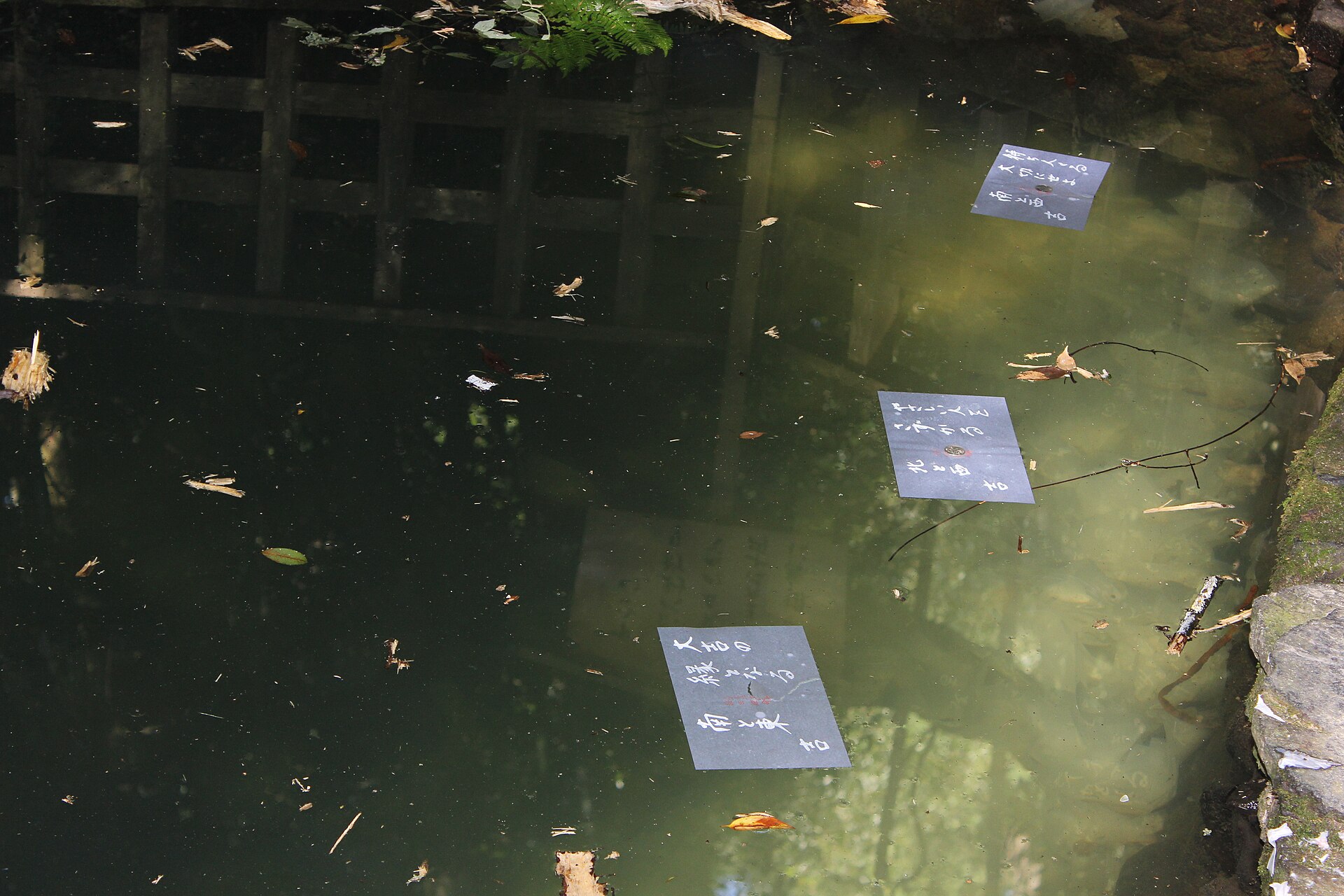 八重垣神社の鏡の池に浮かぶ縁占いの和紙