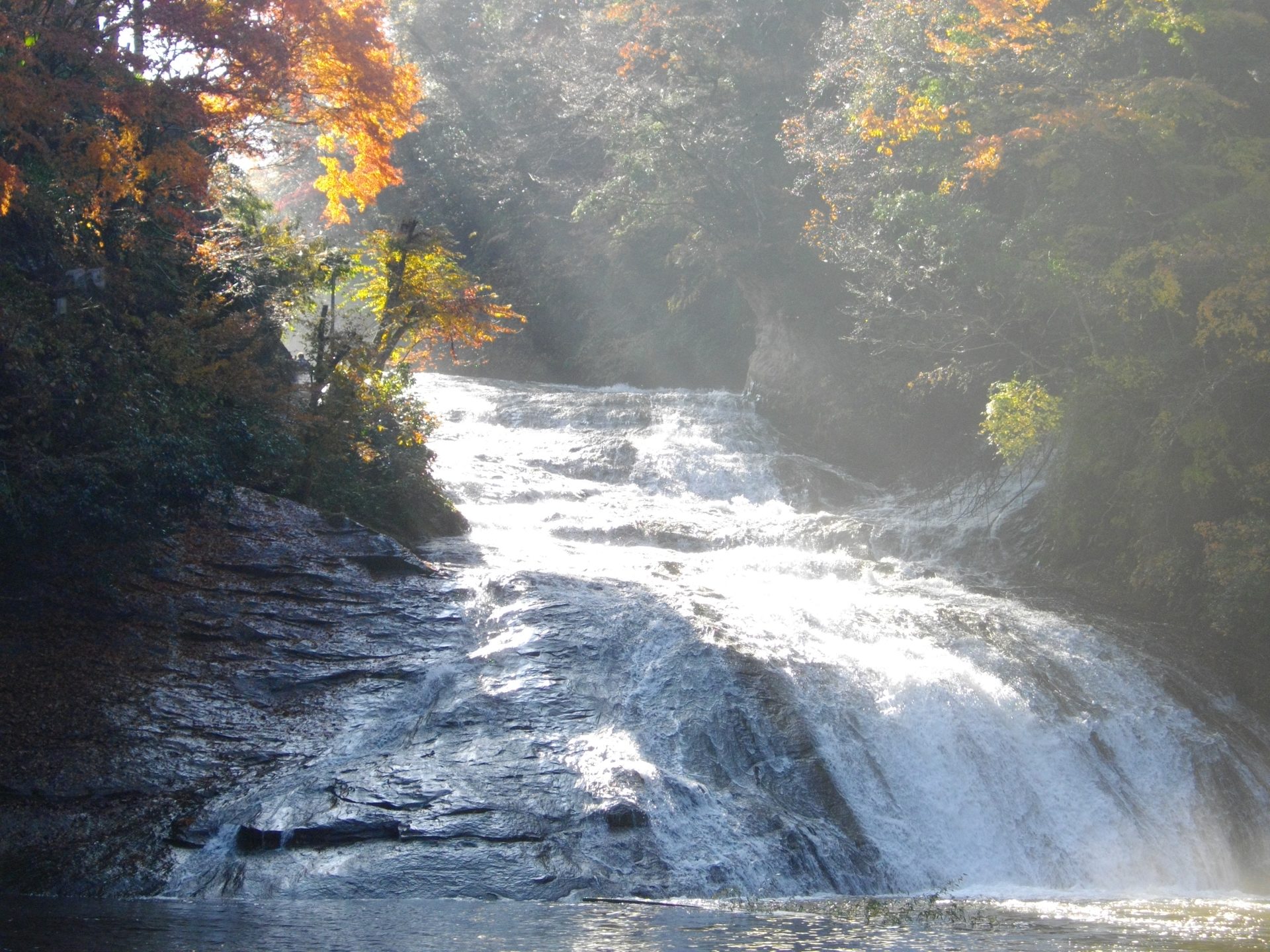 紅葉の養老渓谷、粟又の滝